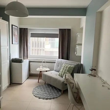 Luxueus Met Ruim Terras, Frontaal Zeezicht 4 A 5 Personen Apartamento Blankenberge